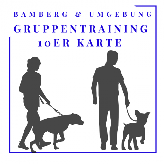 Gruppentraining 10er Karte