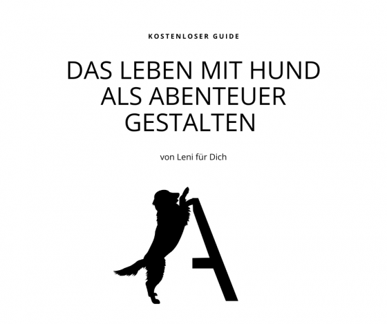 Das Leben als Abenteuer gestalten - kostenloser Guide