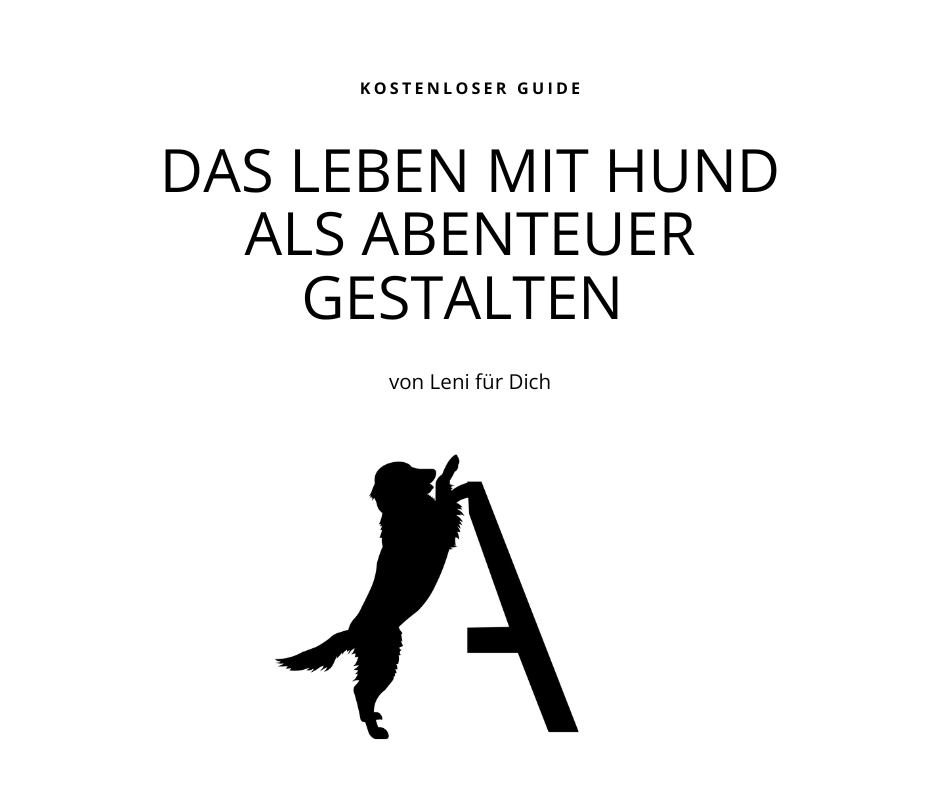 Das Leben als Abenteuer gestalten - kostenloser Guide