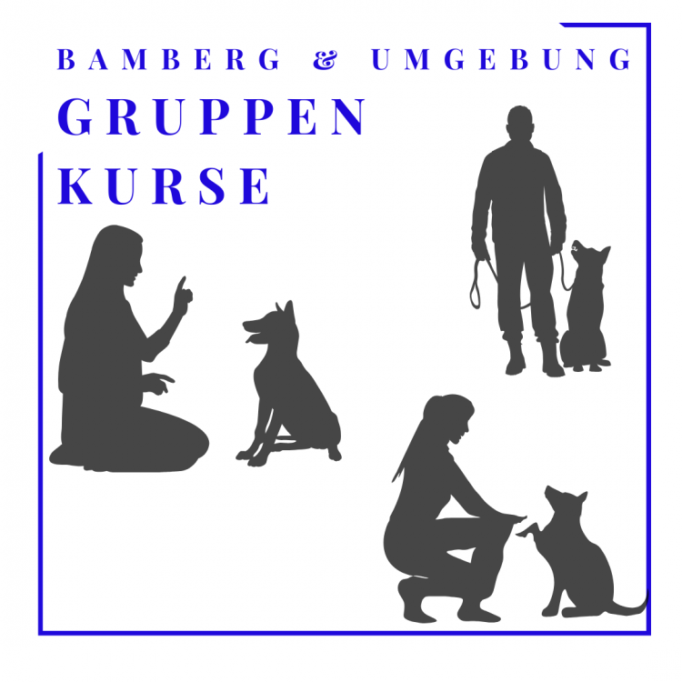 Gruppenkurse in Bamberg und am Hundeplatz