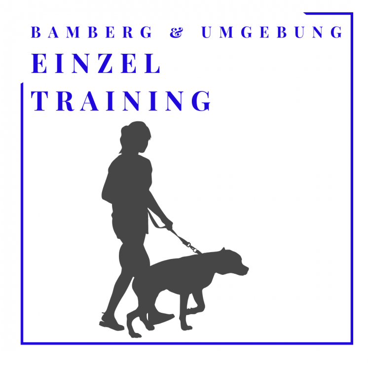 Training in Bamberg und am Hundeplatz