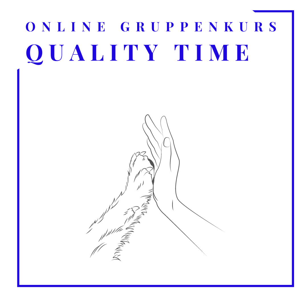 Quality Time - der Online-Beschäftigungskurs