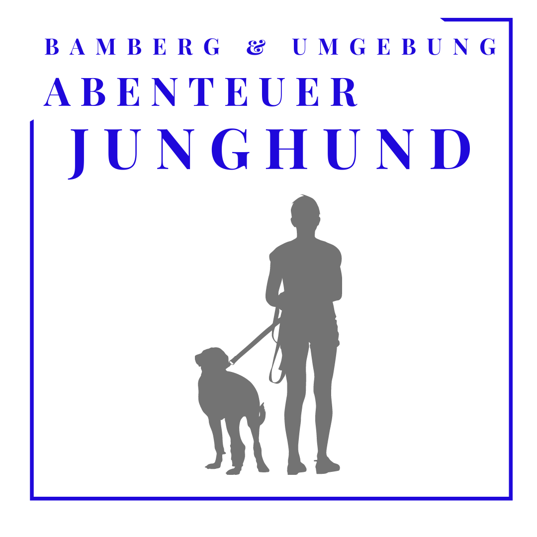 Jungehundegruppe 8er Karte