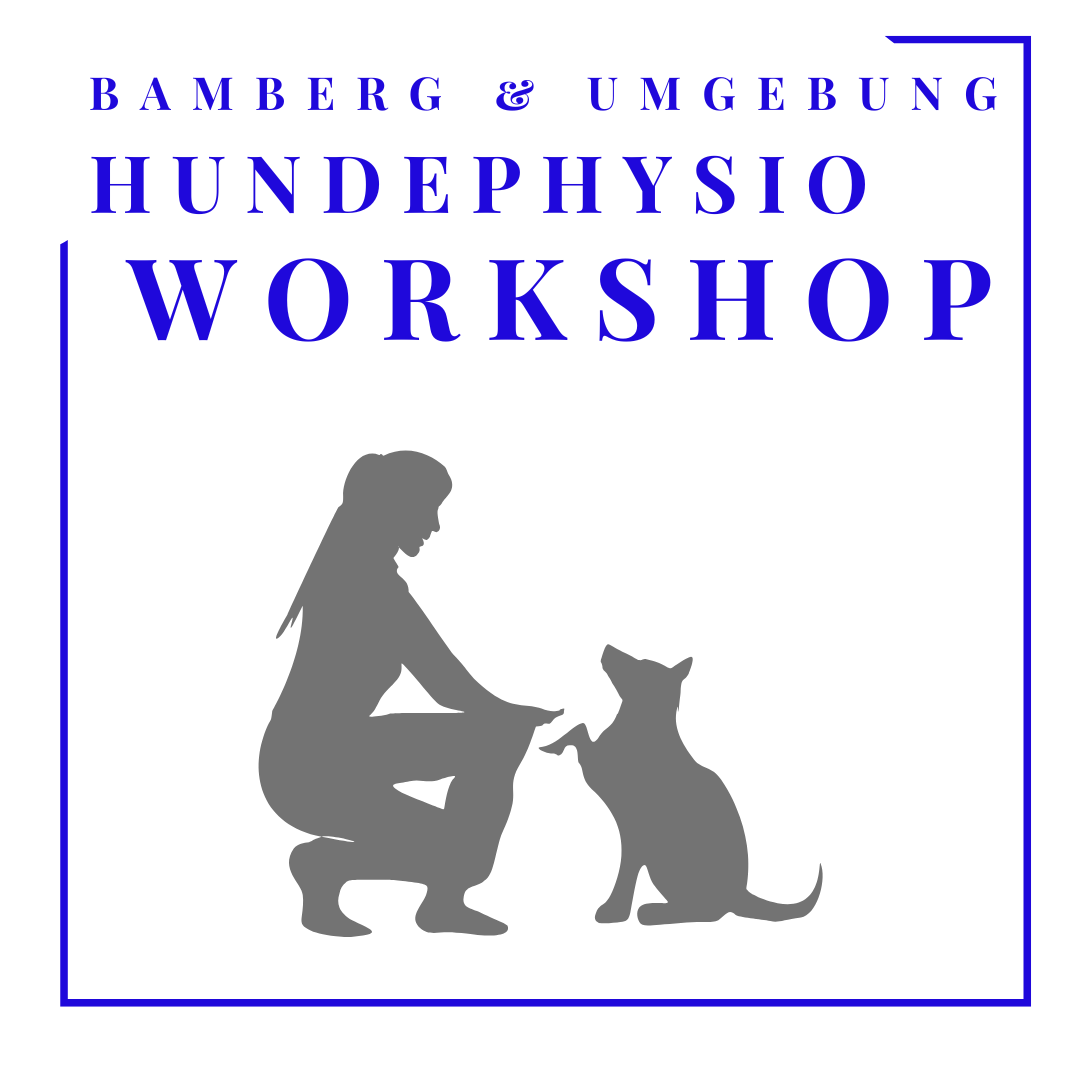 Hundephysio-Workshop