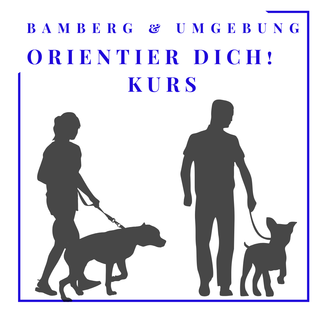 Orientier dich an mir! Dein Leinenführigkeitskurs