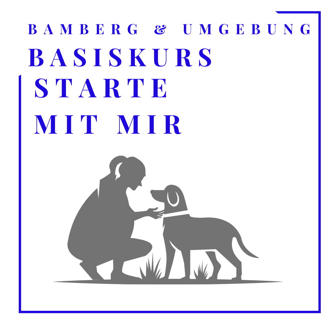 Basiskurs: Starte mit mir!